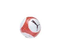 Produktbild Puma V1.06