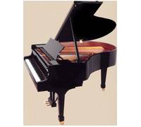 Produktbild Steinway & Sons M-170