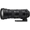 Sigma 150-600mm F5-6,3 DG OS HSM Sports Testsieger