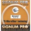 Signum Pro Micronite Testsieger