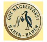 Wein im Test: 1998 Gut Nägelsforst Riesling QbA von Gut Nägelsförst/Baden, Testberichte.de-Note: 1.7 Gut