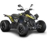 Maxxer 300 Onroad Supermoto CVT (15 kW)