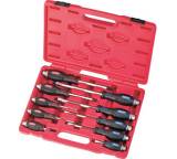 Schraubendreher-Set 10-tlg. (10002944)