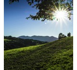 App im Test: Das Wetter in Deutschland von surfcheck.info, Testberichte.de-Note: 1.0 Sehr gut