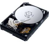 SpinPoint T166 HD321KJ