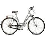 Fahrrad im Test: Roadster 8 FL von VanDeKlok, Testberichte.de-Note: 1.0 Sehr gut