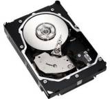 Cheetah 15K.5 ST3300655SS