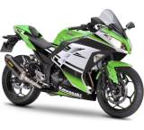 Ninja 300 Performance ABS (29 kW) [Modell 2015]