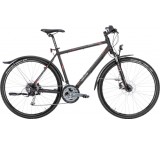 Spyder Street Disc (Modell 2016)