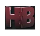 Bandsicherung Typ 3 mit Maueranker