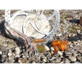 Fahrradbremse im Test: Direttissima von Trickstuff, Testberichte.de-Note: ohne Endnote