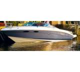 Motorboot im Test: 240 Sun Sport von Sea Ray, Testberichte.de-Note: ohne Endnote