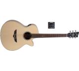 Gitarre im Test: RT-S Root von VGS Guitars, Testberichte.de-Note: ohne Endnote