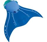 Flosse im Test: Aquarius von Finis, Testberichte.de-Note: 2.0 Gut