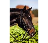 Zaumzeug im Test: Trensenzaum Standard von Kerbl, Testberichte.de-Note: 1.9 Gut