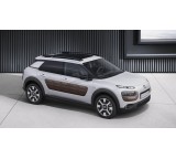 C4 Cactus BlueHDi 100 (73 kW) [14]