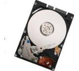 Travelstar 5K250 160GB (0A53394)