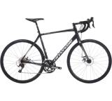 Synapse 105 Disc (Modell 2016)