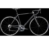 Sage Carbon Ultegra SL - Shimano Ultegra (Modell 2017)