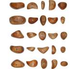 Kletterzubehör im Test: Griffstück für Kletterwände von Metolius, Testberichte.de-Note: ohne Endnote