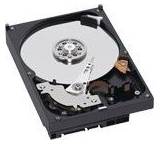 Caviar Green Power WD10EACS (1 TB)