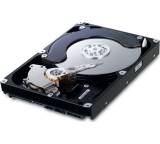 SpinPoint F1 750GB HD753LJ