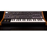 Synthesizer, Workstations & Module im Test: Subsequent37 von Moog Music, Testberichte.de-Note: 1.5 Sehr gut