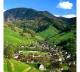 Wanderung, Ausflug & Tour im Test: Schwarzwald von Deutschland, Testberichte.de-Note: ohne Endnote