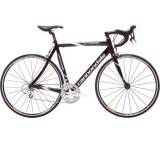 Synapse Carbon SL