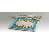 Gesellschaftsspiel im Test: Tortuga von Gigamic, Testberichte.de-Note: 1.8 Gut