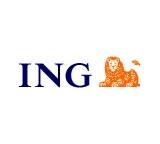ING (L) Invest - Sustainable Growth P Cap.