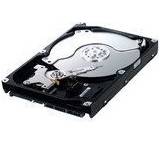 Spinpoint F1 HD322HJ