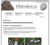 Online-Datenbank im Test: Informationen zu Pilzen von pilzlexikon.eu, Testberichte.de-Note: 1.0 Sehr gut