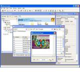Raining Data Omnis Studio