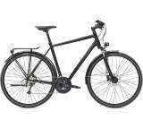 Elan Sport Herren (Modell 2019)