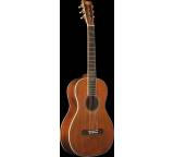 Gitarre im Test: 125th Anniversary R-316 WRK & WKK von Washburn Guitars, Testberichte.de-Note: ohne Endnote