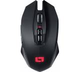 Maus im Test: LM40 WL von Lioncast, Testberichte.de-Note: 1.9 Gut