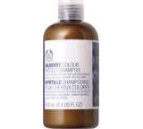 Bilberry Colour Protect Shampoo