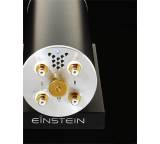 The Turntable's Choice