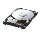 SpinPoint M6 HM400LI (400 GB)