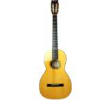 Gitarre im Test: S2 Custom von Gitarrenbau Meigel, Testberichte.de-Note: ohne Endnote