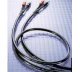 Al Cinema / Fortissimo