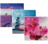 Personenwaage im Test: Glas-Personenwaage von Lidl / Silvercrest, Testberichte.de-Note: ohne Endnote