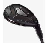 Big Bertha Hybrids (2019)