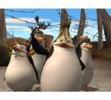 Madagascar 2 (für Wii)