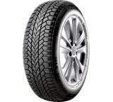 Winter W1; 225/50 R17 98V
