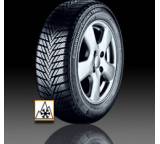 ContiWinterContact TS 800; 175/60 R14 T