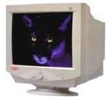 Monitor im Test: Typhoon T95S von Anubis, Testberichte.de-Note: 3.0 Befriedigend