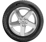 Wintrac; 195/65 R15 91T