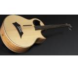 Bass im Test: The Alien Acoustic (Fretless Version) von Warwick, Testberichte.de-Note: ohne Endnote